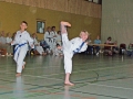 100_7165_bearbeitet-1