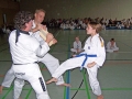 100_7191_bearbeitet-1