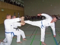 100_7206_bearbeitet-1