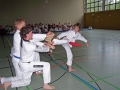 100_7224_bearbeitet-1