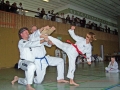 100_7225_bearbeitet-1