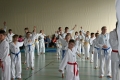 IMG_2538_bearbeitet-1