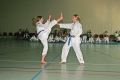 IMG_2558_bearbeitet-1