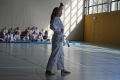 IMG_2576_bearbeitet-1
