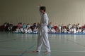 IMG_2577_bearbeitet-1
