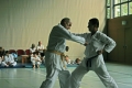 IMG_2696_bearbeitet-1