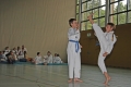 IMG_2921_bearbeitet-1