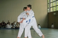 IMG_2936_bearbeitet-1