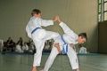 IMG_2937_bearbeitet-1