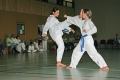 IMG_3011_bearbeitet-1