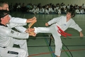 IMG_3084_bearbeitet-1