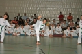IMG_2064_bearbeitet-1