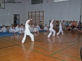 100_8328_bearbeitet-1.jpg