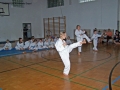 100_8330_bearbeitet-1.jpg