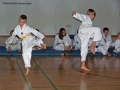 100_8343_bearbeitet-1.jpg