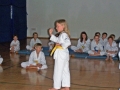100_8347_bearbeitet-1.jpg