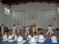 100_8349_bearbeitet-1.jpg