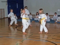 100_8352_bearbeitet-1.jpg