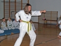100_8355_bearbeitet-1.jpg