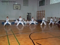 100_8390_bearbeitet-1.jpg