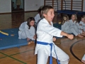 100_8391_bearbeitet-1.jpg