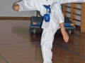 100_8392_bearbeitet-1.jpg