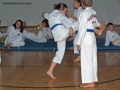 100_8398_bearbeitet-1.jpg