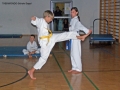 100_8402_bearbeitet-1.jpg
