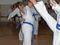 100_8408_bearbeitet-1.jpg