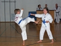 100_8415_bearbeitet-1.jpg