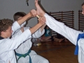 100_8419_bearbeitet-1.jpg