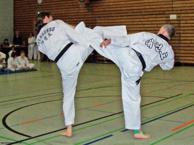 100_8482_bearbeitet-2.jpg