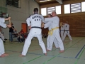 100_8436_bearbeitet-1.jpg