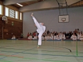 100_8451_bearbeitet-1.jpg