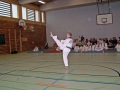100_8453_bearbeitet-1.jpg