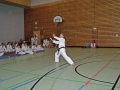 100_8457_bearbeitet-1.jpg