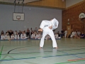 100_8464_bearbeitet-1.jpg