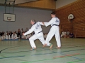 100_8469_bearbeitet-1.jpg