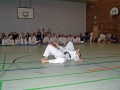 100_8471_bearbeitet-1.jpg