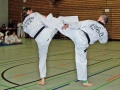 100_8482_bearbeitet-2.jpg