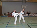 100_8484_bearbeitet-1.jpg