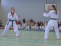IMG_6227_bearbeitet-2.jpg