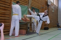 IMG_6240_bearbeitet-1.jpg