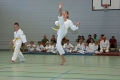 IMG_7156_bearbeitet-1.jpg