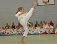 IMG_7173_bearbeitet-2.jpg