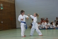 IMG_7440_bearbeitet-1.jpg