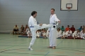 IMG_7496_bearbeitet-1.jpg