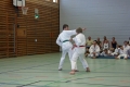 IMG_7600_bearbeitet-1.jpg