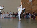 100_6977_bearbeitet-1