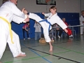 100_6990_bearbeitet-1